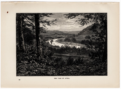 The Vale of Avoca